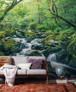 Mystical River Stream Forest Wallpaper Mural